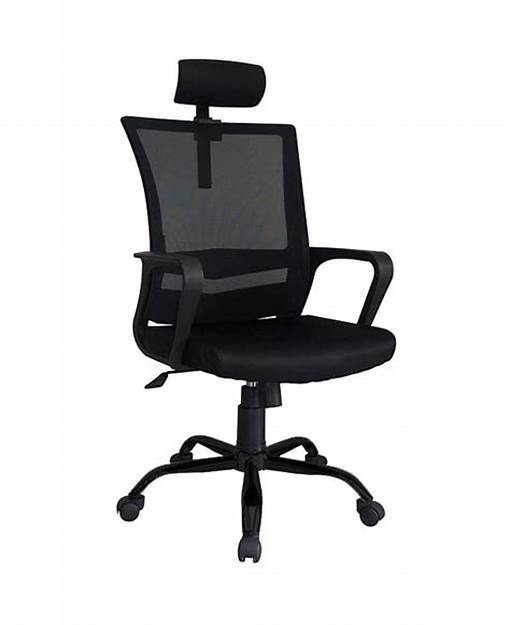 Ergonomic Chair